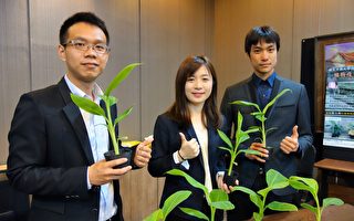闯国际市场 台湾农技需大企业格局