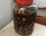 金線蓮藥酒有奇效？還是陷阱?！