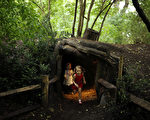 树屋完美假日——在英国圆儿时的梦 Tree House