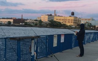 紐約州長公布2017年免費垂釣日