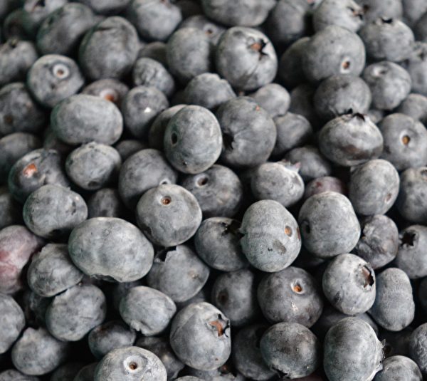 图：刘恩海生产的有机蓝莓健康有味。 （网络图片）
