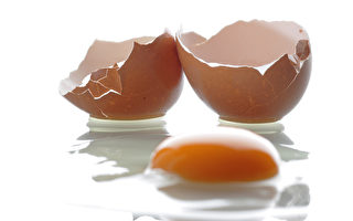 進口雞蛋含殺蟲劑 德國大批召回