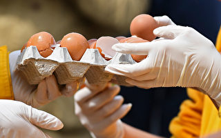 德國「壞蛋」手機App告訴你哪些是受污染雞蛋