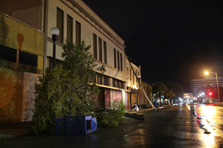 德州聖體市（Corpus Christi）路樹傾倒。(Joe Raedle/Getty Images)