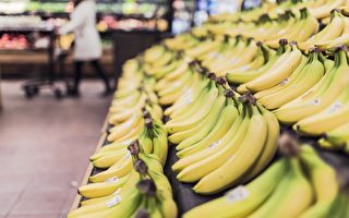 英国学生以香蕉为主食 每周吃150根