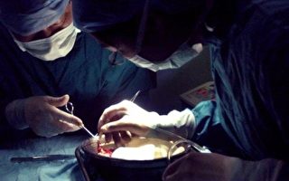 國際醫生組織：中共器官移植改革是謊言