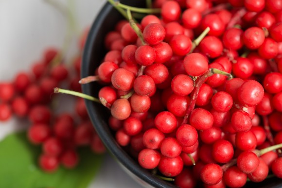 有一種不尋常的食物包含所有味道,這就是五味子。(Leonid S. Shtandel/Shutterstock)