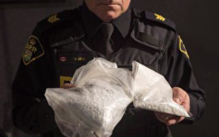 加拿大警方查出 毒品芬太尼走私皆源自中国