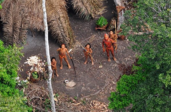 2011年1月31日巴西政府飛機發現的隱世部落。（AFP PHOTO / FUNAI/Survival / Gleison Miranda）