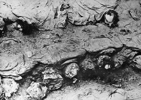 1943年卡廷屍體發掘現場。照片由波蘭紅十字會拍攝。（公有領域）