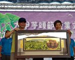芋头达人评鉴出炉 外埔林绣锦荣获第一