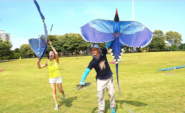 台灣藍鵲風箏。（宋順澈／大紀元）
