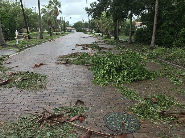 坦帕地區颶風過後鋪滿樹枝的街道.（ 周子定/大紀元）