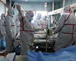 致命禽流感在中国变种 传播到新地区