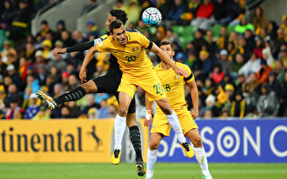 澳洲國家足球隊（昵稱「袋鼠隊」Socceroos）最擔心的事情—不得不通過參加附加賽來決定是否有資格進軍俄羅斯已成為定局。圖為「袋鼠隊」與勝泰國隊比賽。(Scott Barbour/Getty Images)