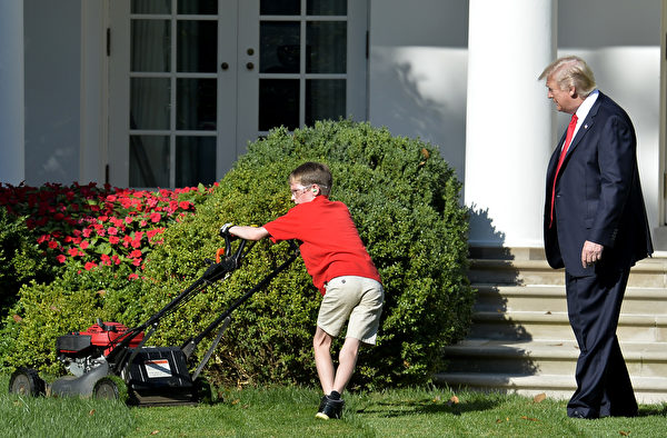 2017年9月15日上午，美國總統川普在白宮的玫瑰花園觀看11歲小男孩弗蘭克推草坪。(Win McNamee/Getty Images) 