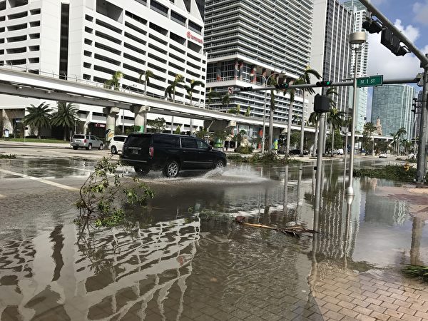 艾玛飓风过后，迈阿密还有积水，很多大树被连根拔起 。 （艾莉/大纪元）