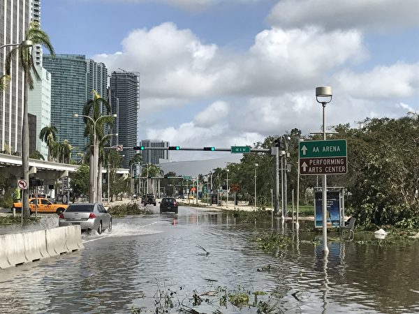  艾瑪颶風過後，邁阿密市中心的道路上還有積水 。 （艾莉/大紀元）