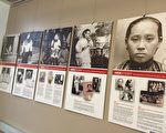 蒙市图书馆华人女性奋斗史图片展