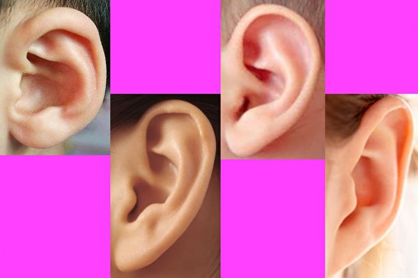 耳形透露命运 快来看你的耳朵是哪一种 测试 耳相 运势 大纪元