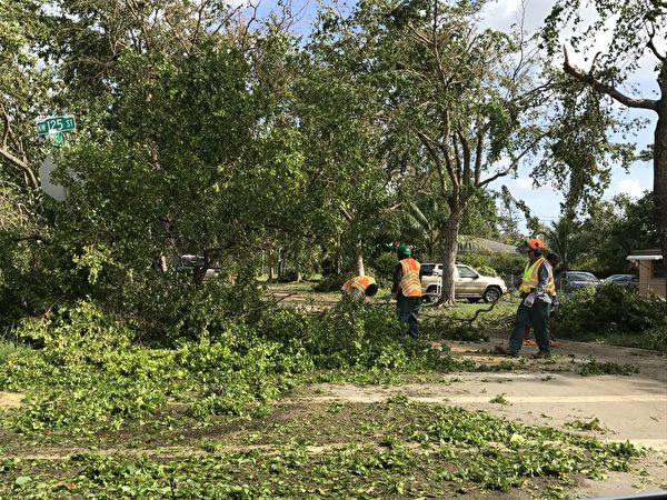 工人们在清理艾玛飓风留下的乱象， 但是这样的混乱太多了。（艾莉/大纪元） 