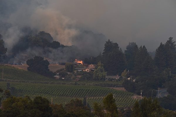 加州有史以来最惨重的火灾，十几起大火一夜之间窜起，一发不可收拾。图为10月11日，消防队员在Santa Rosa葡萄园救火。(ROBYN BECK/AFP/Getty Images)