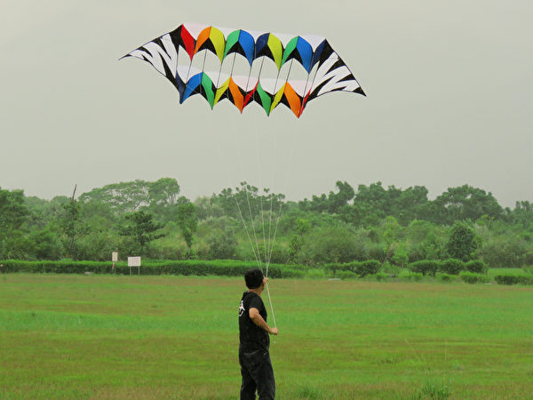 林務局花蓮林區管理處8日起一連兩天，在花蓮光復鄉大農大富平地森林園區舉辦風箏節活動，各式風箏在天 空徜徉，為多雲天空增添繽紛色彩。（花蓮林管處提供）