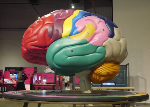 “脑中乾坤：心智的生物学”特展不只介绍世界上脑科学的前沿，还有各个专业实验室的最新研究成果。（方金媛／大纪元）