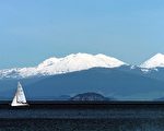 超级火山学家获纽最高科学奖