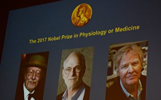 揭生物鐘奧祕 美三遺傳學家獲諾貝爾醫學獎