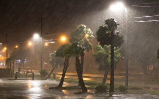 纳特飓风二次登陆美国 多州进入紧急状态