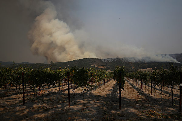 CalFire機構的發言人丹‧伯蘭特（Dan Berlant）表示，絕大多數釀酒廠和葡萄園受到這些火災影響。(Justin Sullivan/Getty Images)