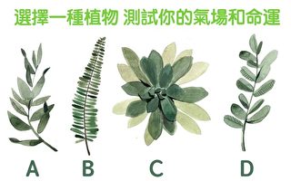 四種植物選一個 測出你的氣場和命運