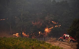加州史上最致命野火 增至36死 滅火有進展