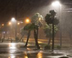 纽约周一周二多降雨湿热天