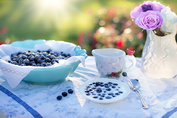 蓝莓。(Jill Wellington/CC/Pixabay)