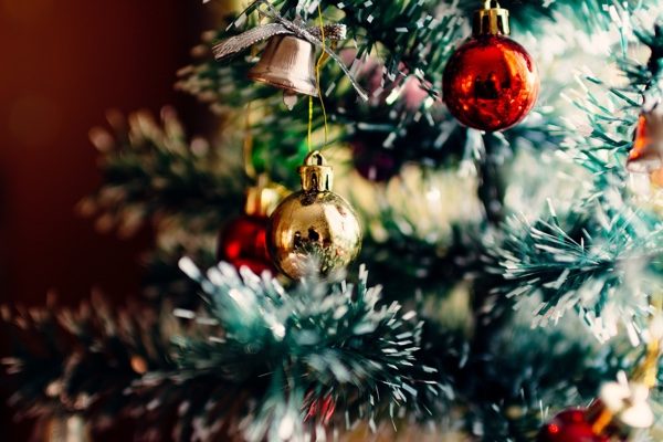 选择绿色圣诞树的你会有什么样的性格优点呢？(pixabay)