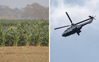 2岁男童消失在玉米地 直升机侦测到他身边一对特别母女