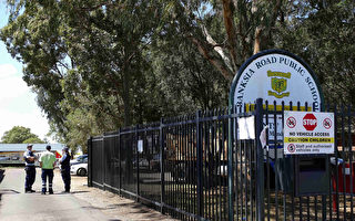 悉尼西南一52岁女子驾车冲入公立小学教室