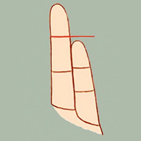 小指指尖短於無名指第一指節。（大紀元製圖）