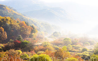 组图：韩国江原道秘密庭园 雾景彷如水彩画
