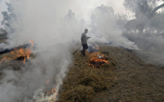 An Indian farmer burns paddy stubble in a field on the outskirts of Jalandhar in the northern state of Punjab on November 10, 2017.
Northern India has reeled under dense smog that has disrupted air and railway services and forced residents to stay indoors or wear protection when they venture outside. / AFP PHOTO / SHAMMI MEHRA        (Photo credit should read SHAMMI MEHRA/AFP/Getty Images)