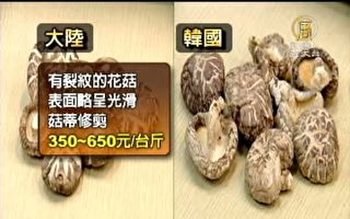 2810公斤大陆菇充当韩国菇 台检调逮2人