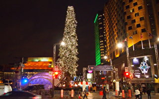 蒙特利尔今年仍要立“丑”圣诞树
