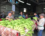 中油促銷香蕉 100家直營站開賣