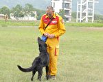 亚洲搜救犬队能力认证 接轨国际灾难救援