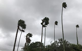 飓风艾玛（Irma）从我家门前走过