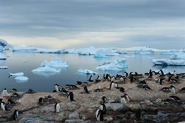 一提到南极，大家想到的是一望无际的冰川、呆萌的企鹅和美丽的极光。(rschendel/CC/Pixabay)