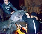 十月革命引百年红祸 俄总统候选人吁下葬列宁