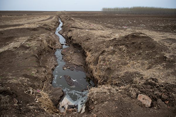 2016年5月3日，黑龍江省甘南縣一家奶牛場向附近的田地排放污水。(HANCOCK (NICOLAS ASFOURI/AFP/Getty Images)
